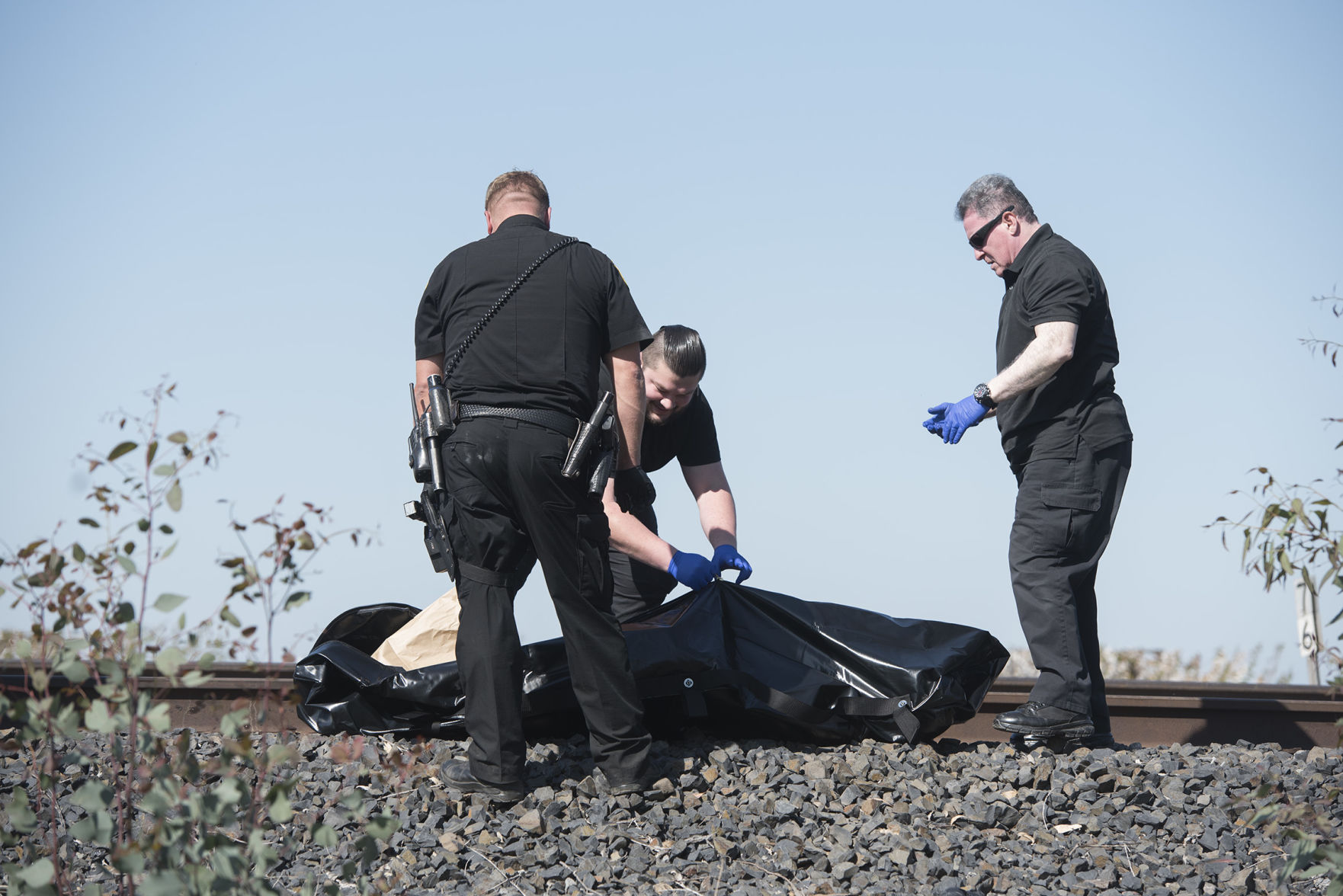 Body found near Micke Grove